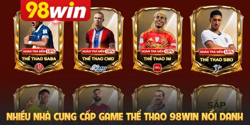 Nhiều nhà cung cấp game thể thao 98Win nổi danh